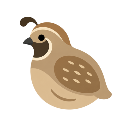 Quail